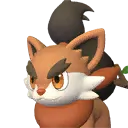 Pupperai icon