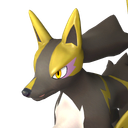Rayhound icon